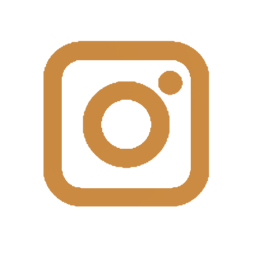Instagram Button for Will Cobb